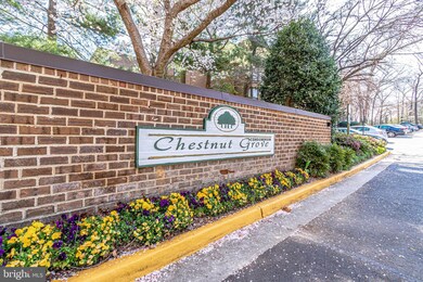 11212 Chestnut Grove Square unit 11212-113, Reston, VA 20190 - photo 2