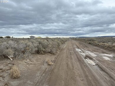 0 E Thorn Ln unit TL 2200 24476925, Christmasvalley, OR 97641 - photo 4