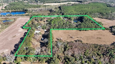 1981 Parrish Rd, Florala, AL 36442 - photo 2