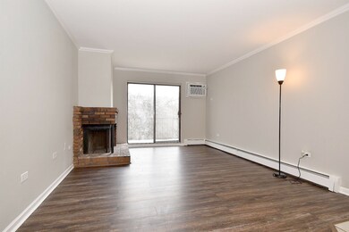 1674 Ishnala Dr unit 202, Naperville, IL 60565 - photo 4