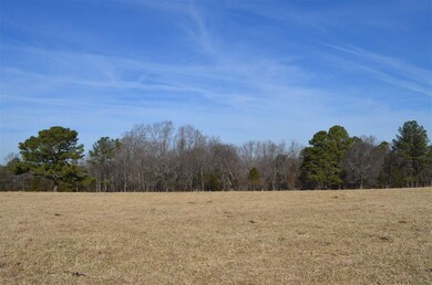 0 Mount Vernon Hickory Mountain Rd unit 2265062, Siler City, NC 27344 - photo 5