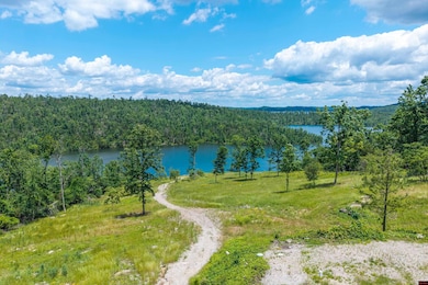 849 Shoal Creek Rd, Mountain Home, AR 72653 - photo 5