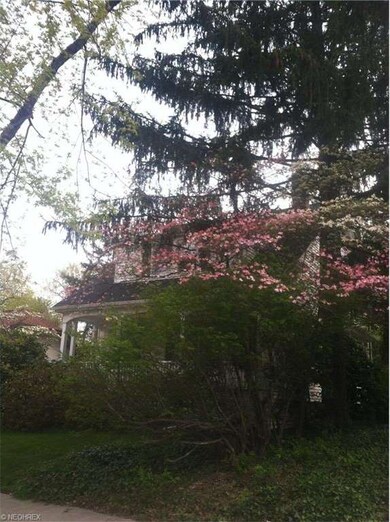 Springtime brings out the pink and white dogwood t