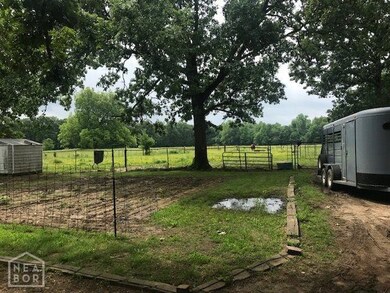 808 County Road 311, Jonesboro, AR 72401 - photo 5