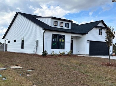 201 Caballeros Trail, Prosperity, SC 29127 - photo 3