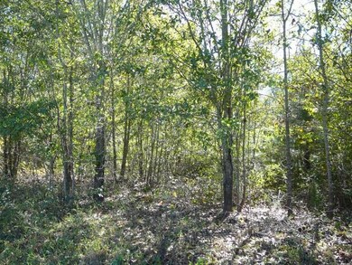 16 Acs Chuck Dr unit 16 Acs Airline Rd, Anderson, SC 29624 - photo 2