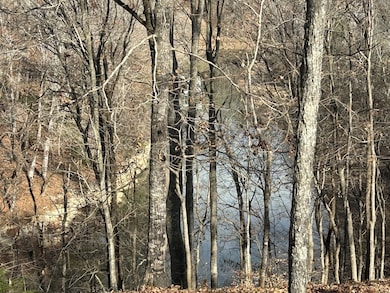 0 Hidden River Rd unit RTC3050284, Rock Island, TN 38581 - photo 6