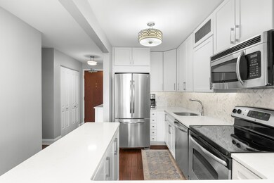 440 N Wabash Ave unit 3109, Chicago, IL 60611 - photo 7