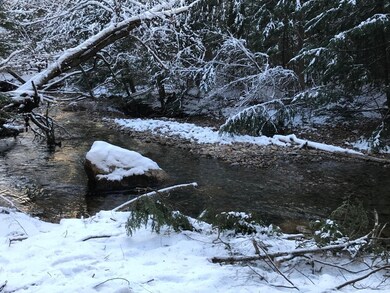 11 Conner Pond Rd, Center Ossipee, NH 03814 - photo 6