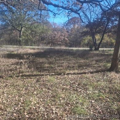 12834 N 68th West Ave, Skiatook, OK 74070 - photo 7