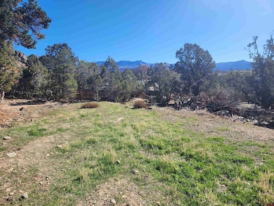 242 Fir Ave, Crawford, CO 81415 - photo 3