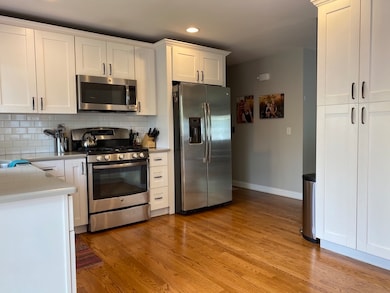 917 Rose Ln, Naperville, IL 60540 - photo 6