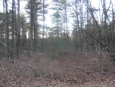 0 Cricket Hill Rd, Berlin Township, PA 18428 - photo 7