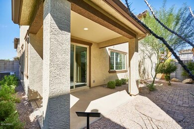 Backyard2