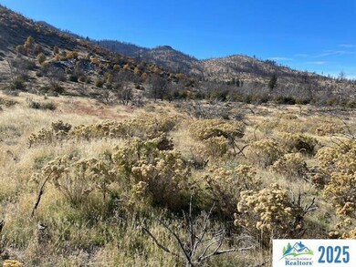 0000 Honey View Ln, Janesville, CA 96114 - photo 3