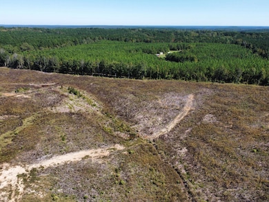 0 State Highway 790, Ackerman, MS 39735 - photo 2