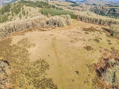 17000 SW Sunnyridge Ln, Sheridan, OR 97378 - photo 3