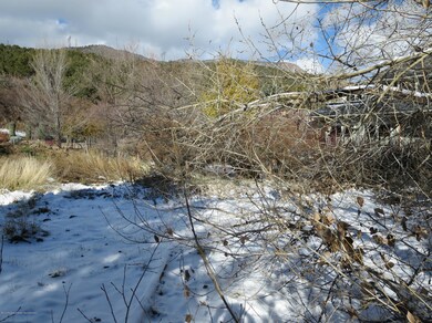 West Sopris Lot 20&21 004