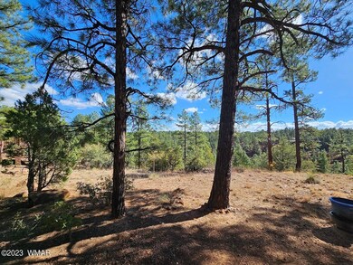 1741 N Mustang Run, Show Low, AZ 85901 - photo 6