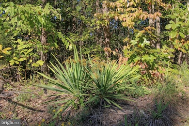 TBD Roark Mill Rd, Hurt, VA 24563 - photo 2