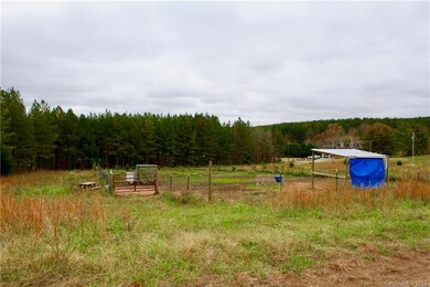 136 Pinetree Ln, Rutherfordton, NC 28139 - photo 4