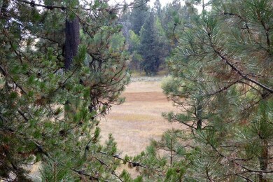 Open the View by Selectively Removing a Few Trees