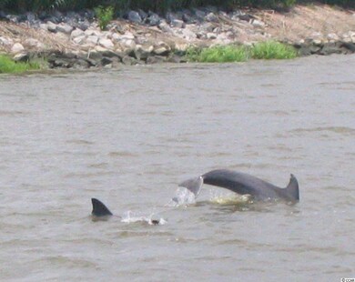 Lot 9 Beaty St, Georgetown, SC 29440 - photo 7