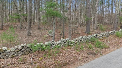 Road View