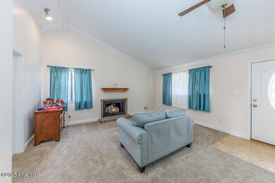 Living room fire place