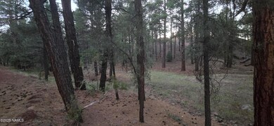 77 E Ski Run Rd, Williams, AZ 86046 - photo 7