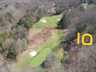 LOT 10