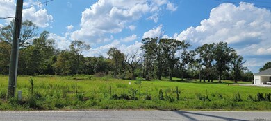 15405 Louisiana 931, Prairieville, LA 70769 - photo 4