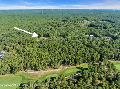 128_dji_0076-1_copy