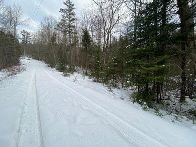 Webb Road Woodlot 6