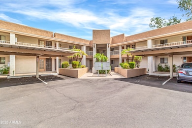 709 S Power Rd unit 203, Mesa, AZ 85206 - photo 3