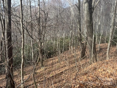 68 Grouse Rd unit 68, Clyde, NC 28721 - photo 6