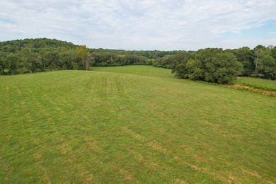 295 J Davis Rd unit LotWP001, Tallapoosa, GA 30176 - photo 5