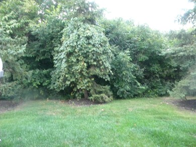 View from patio doors