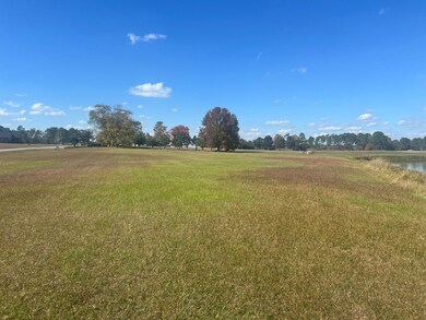 0 Belflower Rd unit 25624433, Tifton, GA 31794 - photo 4