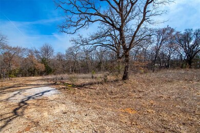 4 Lanes Ln, Pottsboro, TX 75076 - photo 6