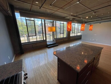 Liberty Lofts Condos unit 212, Ann Arbor, MI 48103 - photo 6