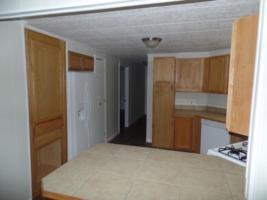 104 Valley Cir, Leroy, MI 49655 - photo 5