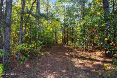 5-web-or-mls-707A8120