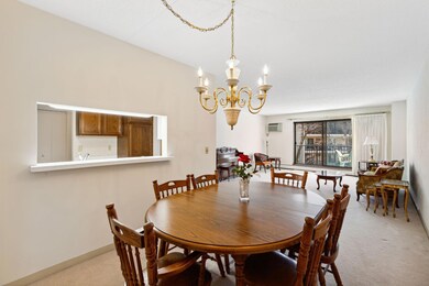 10531 Cedar Lake Rd unit 418, Hopkins, MN 55305 - photo 5