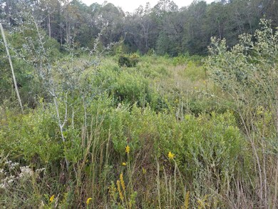 0 Spring Dr unit 905141, Middleburg, FL 32068 - photo 3