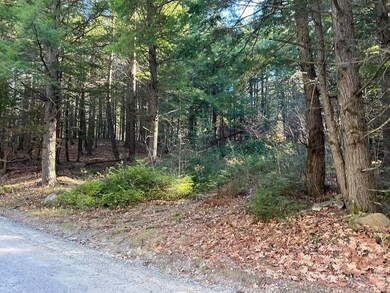 Lot 7 Hermit Woods Rd, Sanbornton, NH 03269 - photo 5