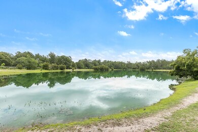 Pond