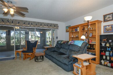 Large Open Living Room #2