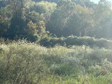 327 Woodlyn Rd, Johnson City, TN 37601 - photo 3