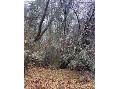 806 Sundance St, Eugene, OR 97405 - photo 4